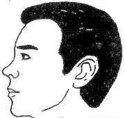 主宰你的富贵命，十六种鼻子图解