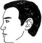 主宰你的富贵命，十六种鼻子图解